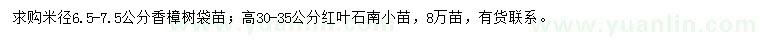 求購(gòu)米徑6.5-7.5公分香樟樹、高30-35公分紅葉石南小苗