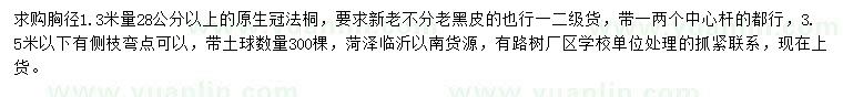 求購(gòu)胸徑1.3米量28公分法桐