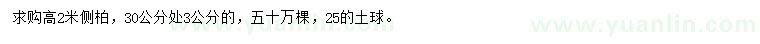 求購高2米側(cè)柏