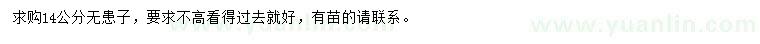 求購14公分無患子