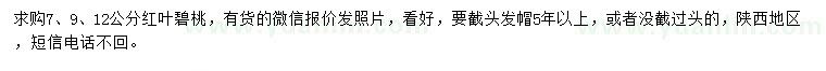求購7、9、12公分紅葉碧桃