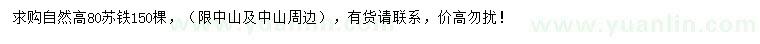 求購自然高80公分蘇鐵