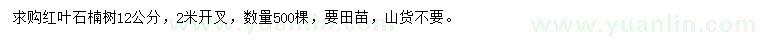 求購(gòu)12公分紅葉石楠樹