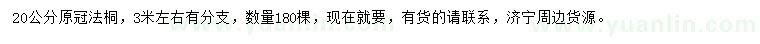 求購(gòu)20公分法桐