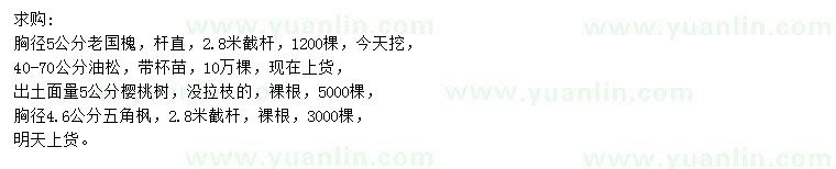 求購(gòu)老國(guó)槐、油松、櫻桃樹(shù)等