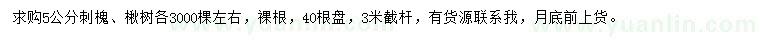 求購5公分刺槐、楸樹