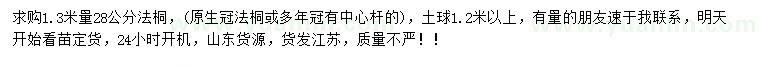 求購1.3米量28公分法桐