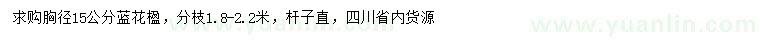 求購(gòu)胸徑15公分藍(lán)花楹