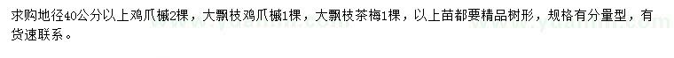 求購雞爪槭、大飄枝雞爪槭、大飄枝茶梅