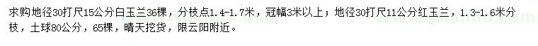 求購地徑30量15公分白玉蘭、地徑30量11公分紅玉蘭