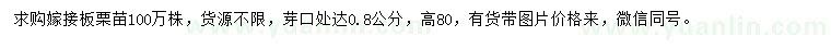 求購(gòu)高80公分嫁接板栗苗