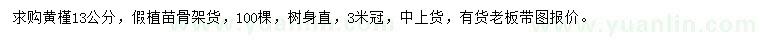 求購13公分黃槿