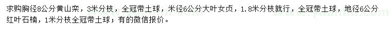 求購黃山欒、大葉女貞、紅葉石楠