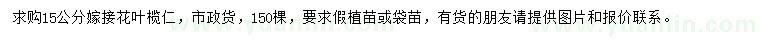求購15公分嫁接花葉欖仁