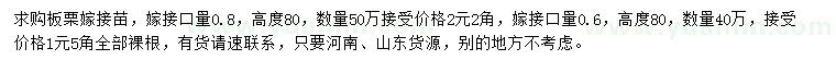 求購(gòu)高度80公分板栗嫁接苗