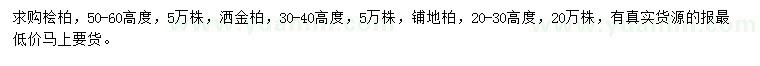 求購(gòu)檜柏、灑金柏、鋪地柏