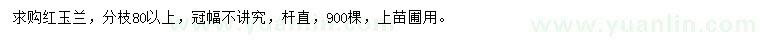 求購紅玉蘭