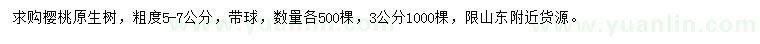 求購3、5-7公分櫻桃