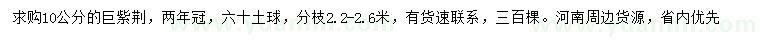 求購(gòu)10公分巨紫荊