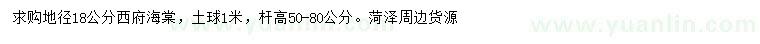 求購地徑18公分西府海棠
