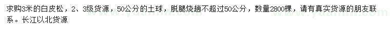 求購3米白皮松