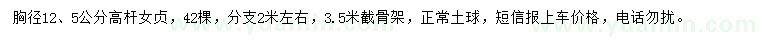 求購胸徑12、5公分高桿女貞