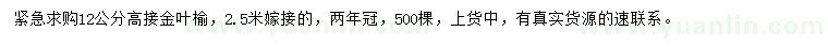 求購12公分高接金葉榆