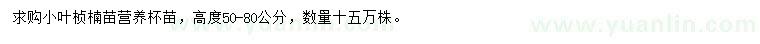 求購(gòu)高度50-80公分小葉楨楠苗
