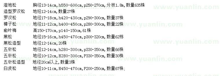 求購濕地松、造型羅漢松、樟子松等