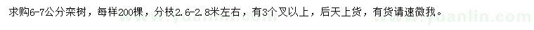 求購(gòu)6-7公分欒樹