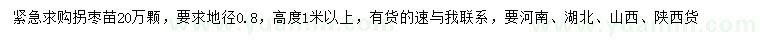 求購地徑0.8公分拐棗苗