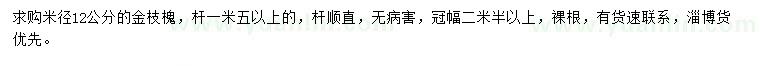 求購(gòu)米徑12公分金枝槐