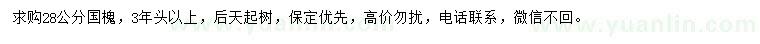 求購28公分國槐