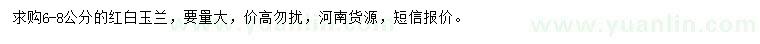 求購6-8公分紅白玉蘭
