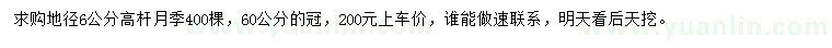 求購地徑6公分高桿月季