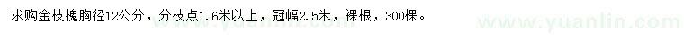 求購胸徑12公分金枝槐