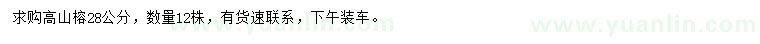 求購(gòu)28公分高山榕