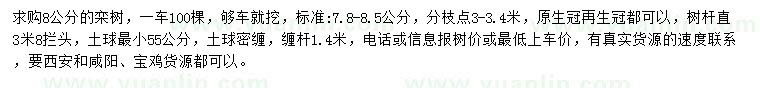 求購8公分欒樹