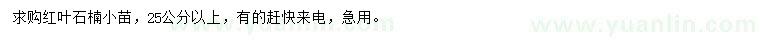 求購高25公分以上紅葉石楠小苗