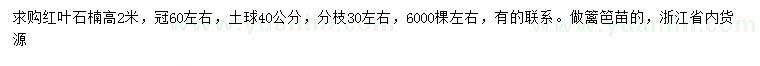 求購高2米紅葉石楠