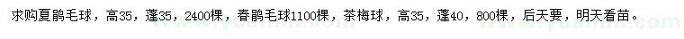 求購夏鵑毛球、春鵑毛球、茶梅球
