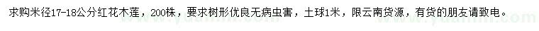 求購米徑17-18公分紅花木蓮
