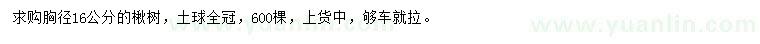 求購胸徑16公分楸樹