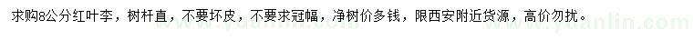 求購(gòu)8公分紅葉李