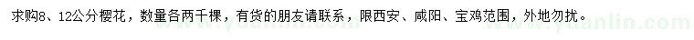 求購8、12公分櫻花