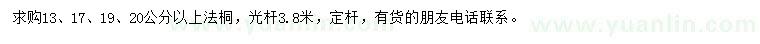 求購13、17、19、20公分以上法桐