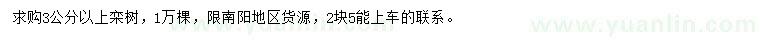 求購3公分以上欒樹