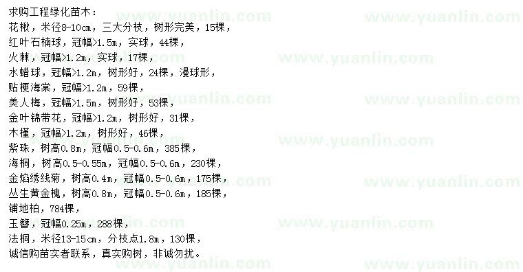 求購(gòu)花楸、紅葉石楠球、火棘等