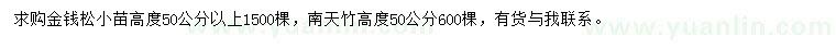 求購高度50公分金錢松小苗、南天竹