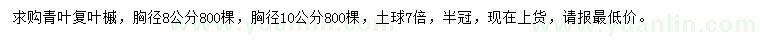 求購胸徑8、10公分青葉復(fù)葉槭